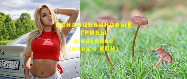 МДПВ Армянск