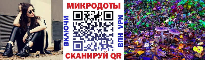 Псилоцибиновые грибы Psilocybine cubensis дарнет шоп Покров